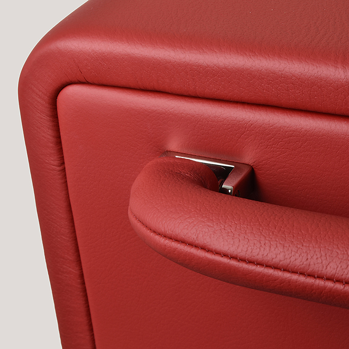 A close-up photograph of the handle of some Aston Martin luggage